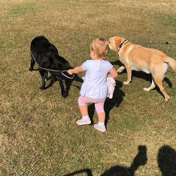 Vivienne Jane Kane Sister Taking Dogs Out